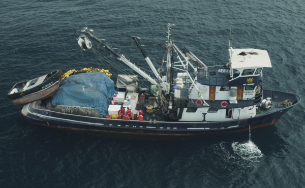 A small pelagics fishing vessel on the sea