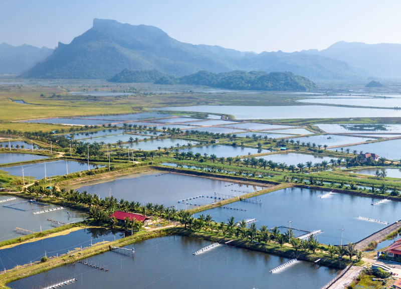Aerial view of prawn faming in Thailand
