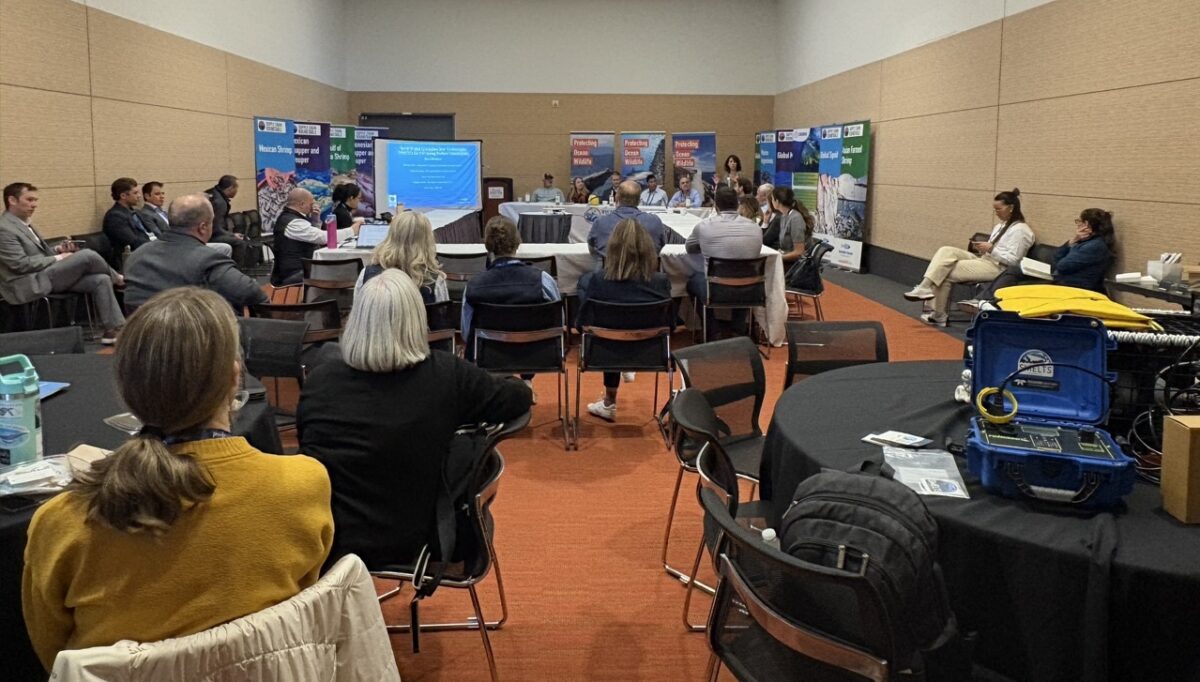 Scene of the room during the panel, with audience members at tables