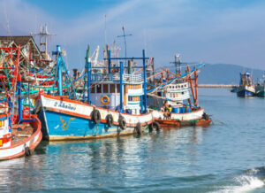 Bateaux de pêche colorés dans un port en Thaïlande