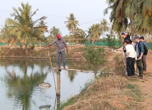 Varias personas de pie al borde de un estanque de camarones en la India
