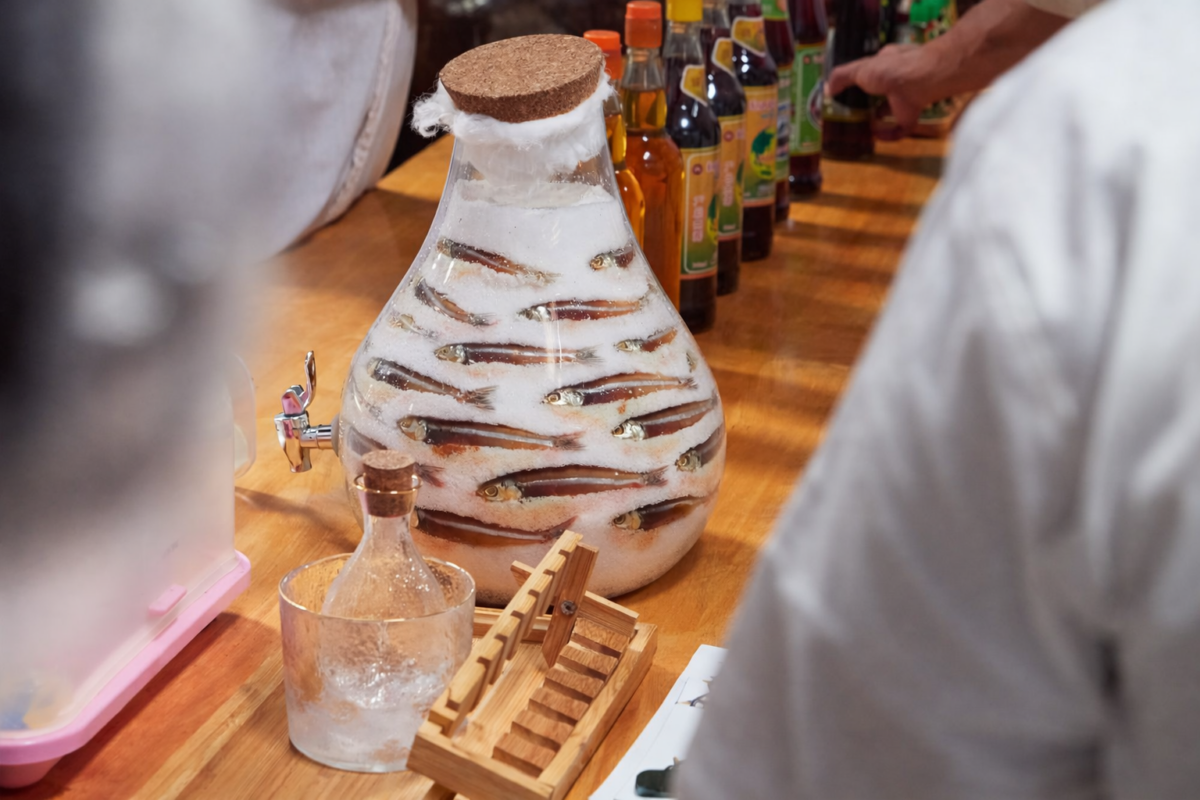 Anchovies in a jar being prepared or salted for fish sauce fermentation.