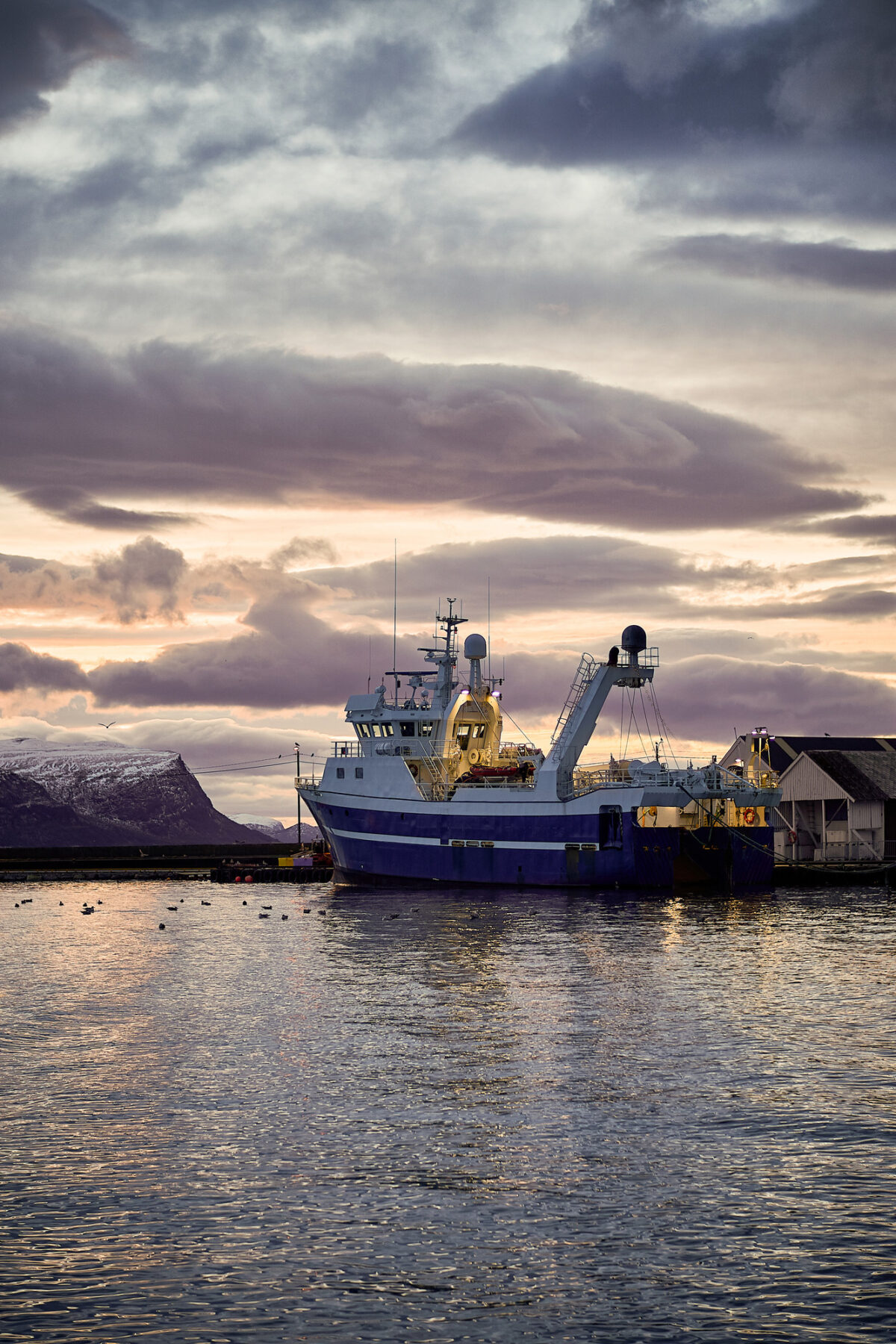 Cod fishing vessel in Norway