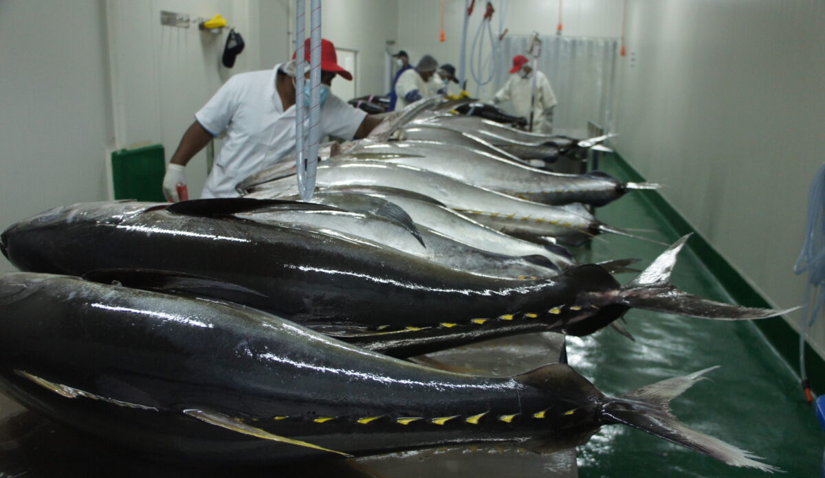 Fish processing plant Comptoirs Oceaniques