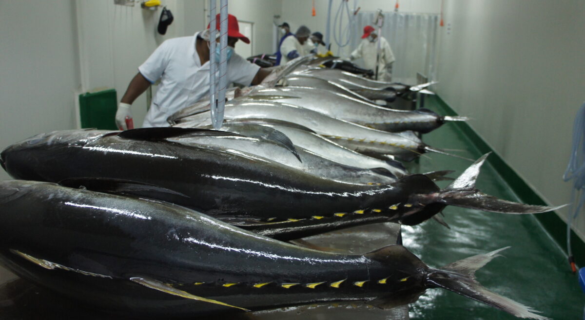 Fish processing plant - Comptoirs Oceaniques
