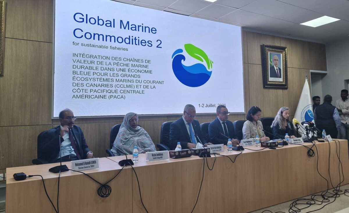 Participants at the GMC2 inception workshop in Mauritania, July 1, 2026