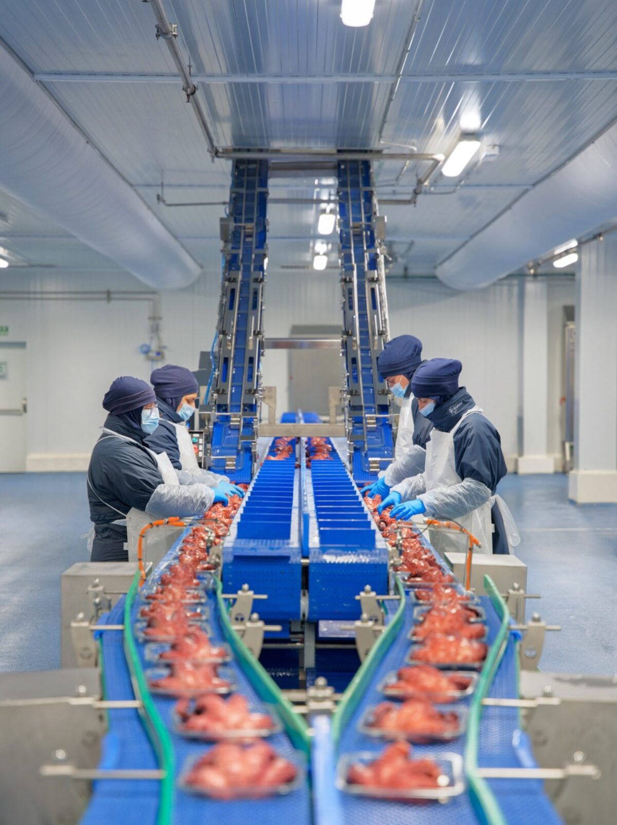 Grupo Profand processing plant
