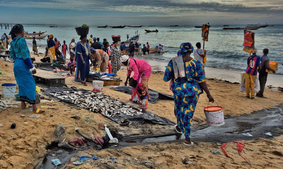 Des femmes sur un marché aux poissons sur la plage au Sénégal