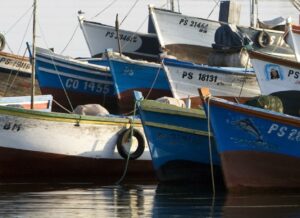 Fishing boats in Peru