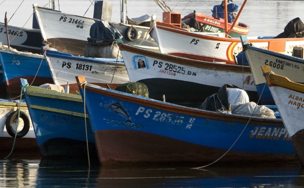 Fishing boats in Peru