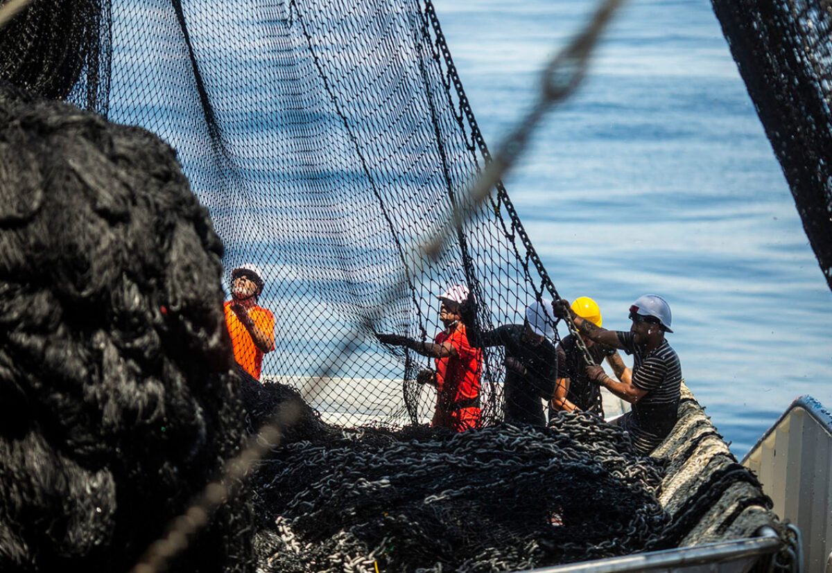 Fishermen hauling a net onboard a fishing vessel
