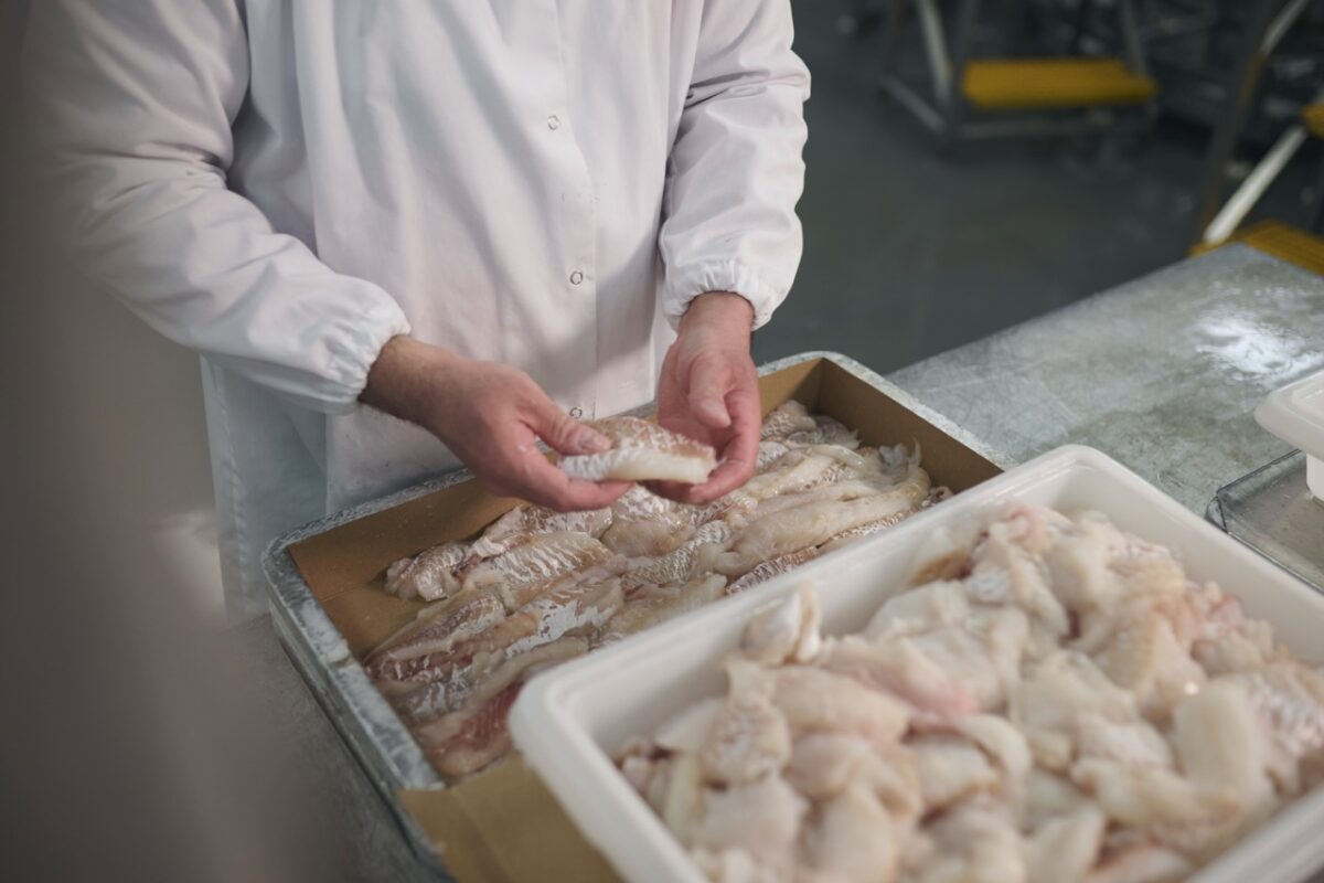 Chef preparing cod