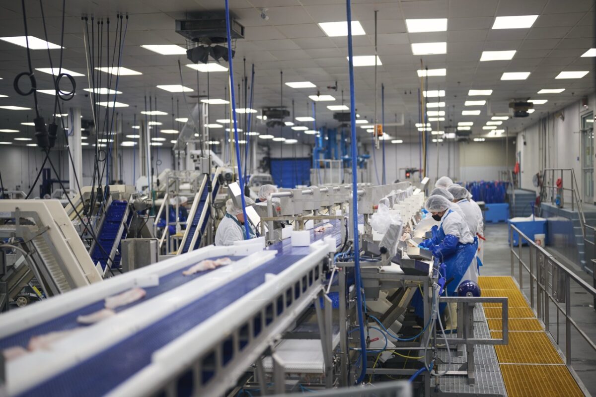 Icewater cod processing plant