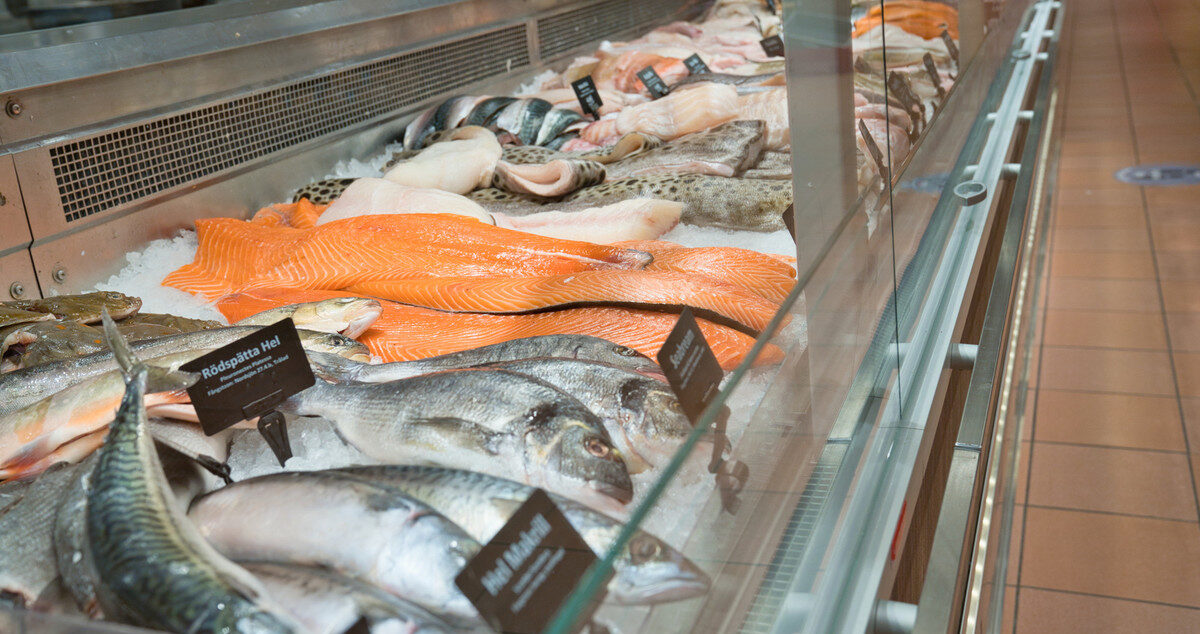 Supermarket fish counter