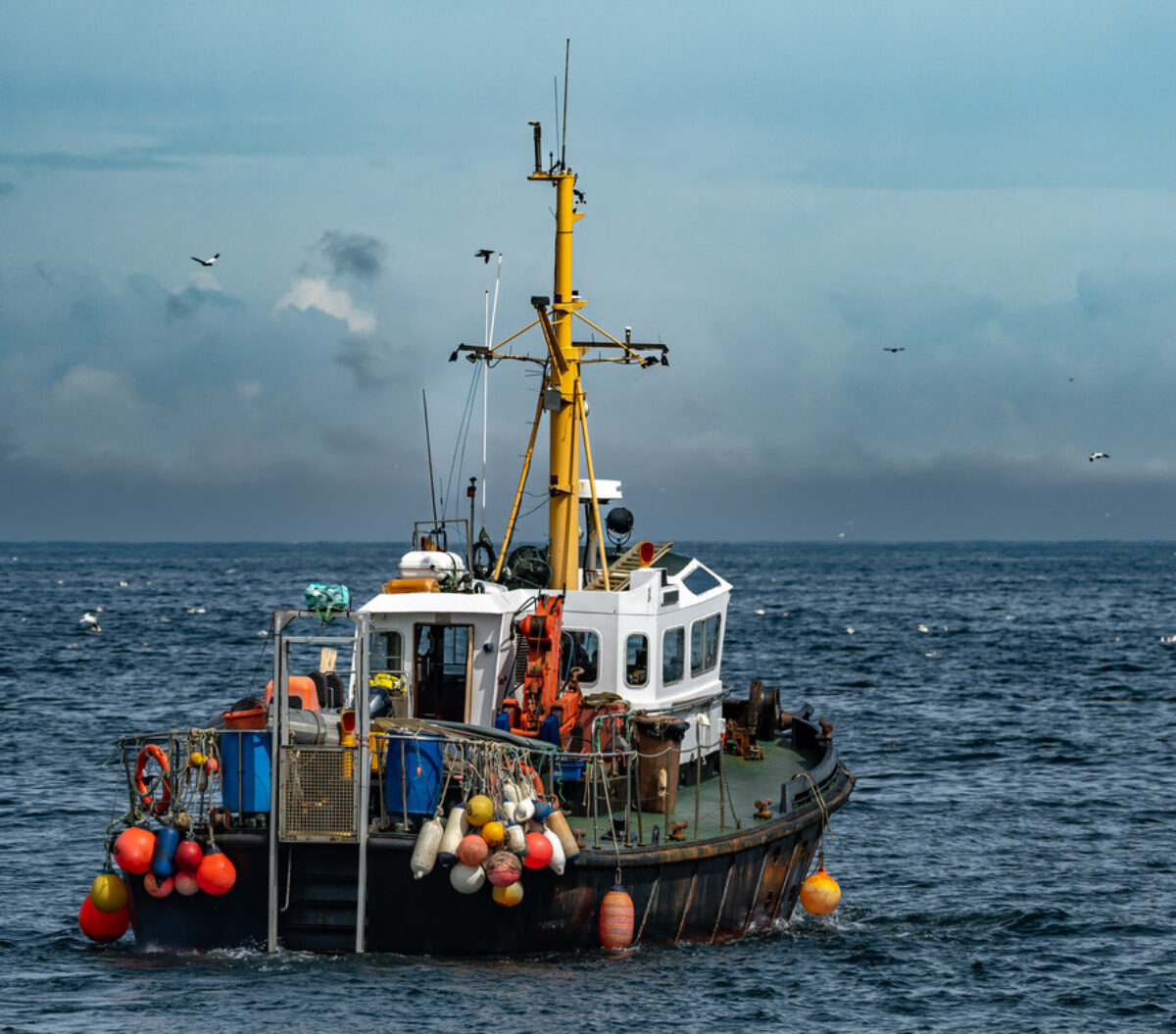 Fishing trawler at sea in Scotland