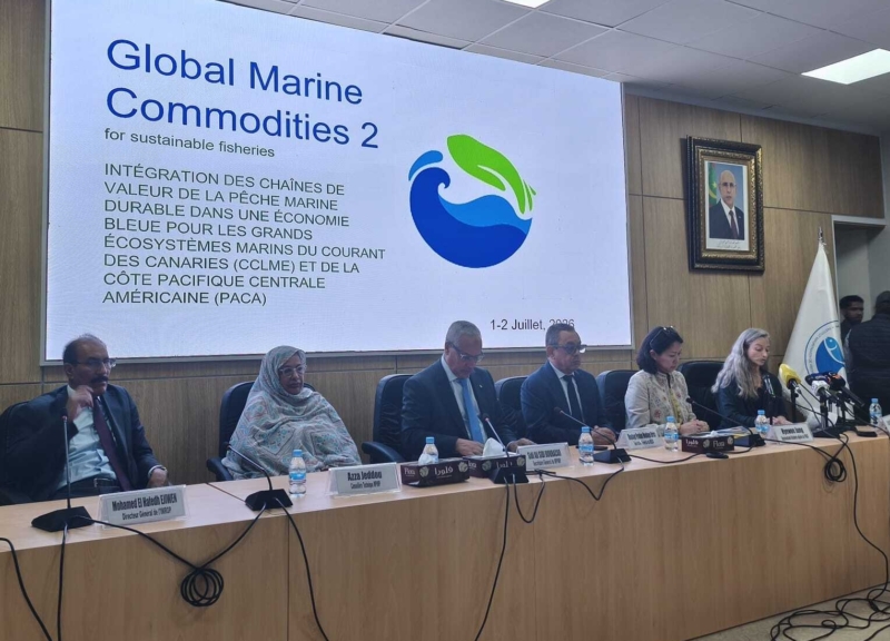 Participants à l'atelier régional de lancement du GMC2 en Mauritanie