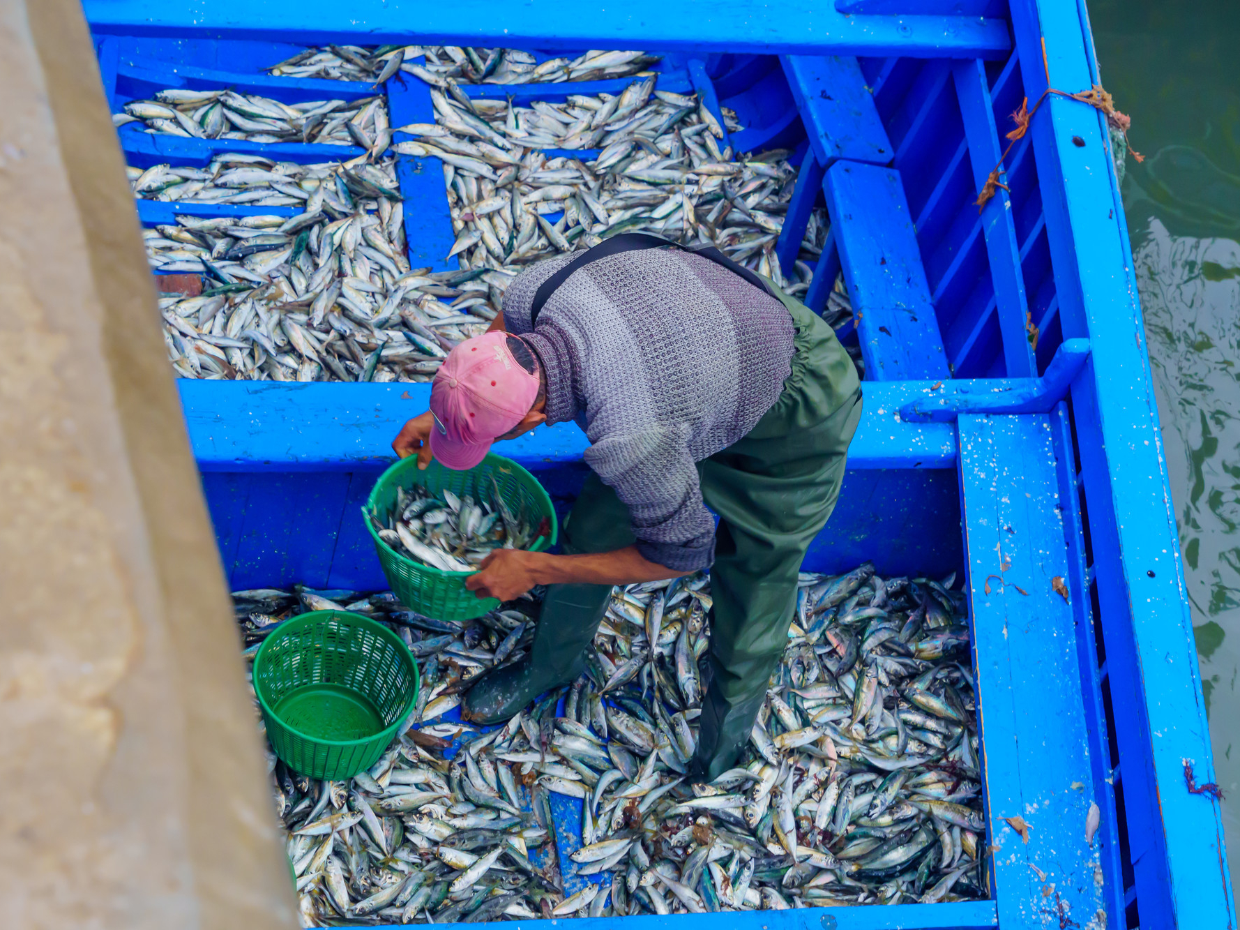 Morocco fisherman with boat full of small fish