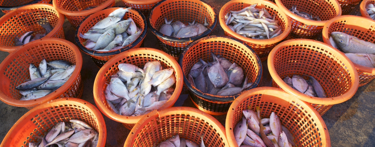 Orange baskets full of freshly caught fish at a market in Thailand