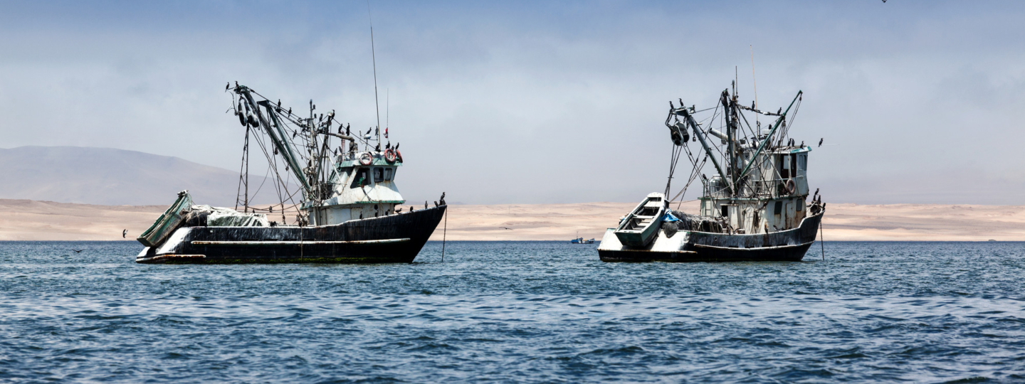 Two fishing boats on the water with many seabirds perched on their rigging