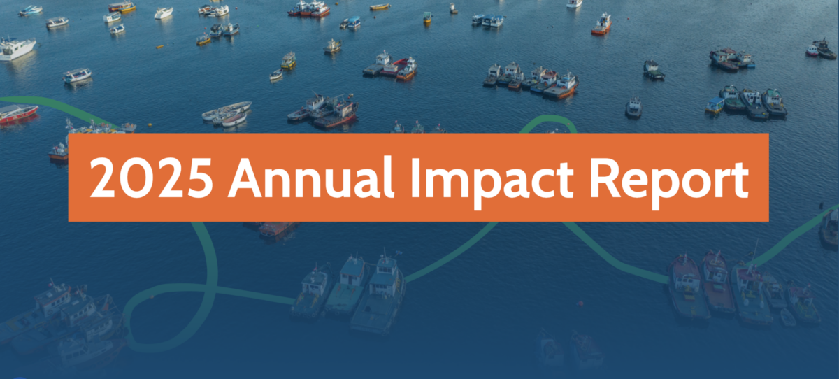 Captura de pantalla de la parte superior del Informe de impacto anual de 2025