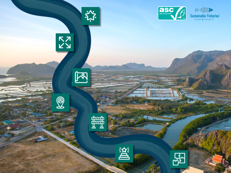 Screenshot of SFP/ASC roadmap for aquaculture, showing a drawn river, with logos along it representing the steps of the roadmap, superimposed on a background photo of an aquaculture landscape